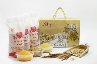 農(nóng)佳嫂 營口特產(chǎn)和文化藝術品鑒會明星產(chǎn)品