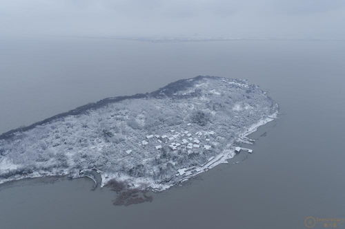 江蘇大樂之野 余山島 在線預訂與價格查詢——第六感精品別墅與文化藝術咨詢指南